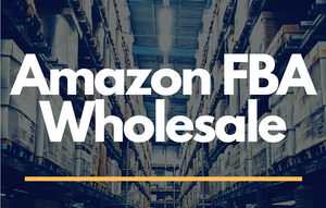 How to find the best shoe wholesaler and dropshipper for Amazon FBA